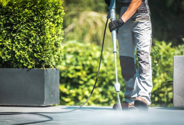 Best Boat and Dock Cleaning  in Punta Rassa, FL