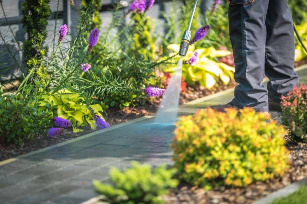 Best Driveway Pressure Washing  in Punta Rassa, FL