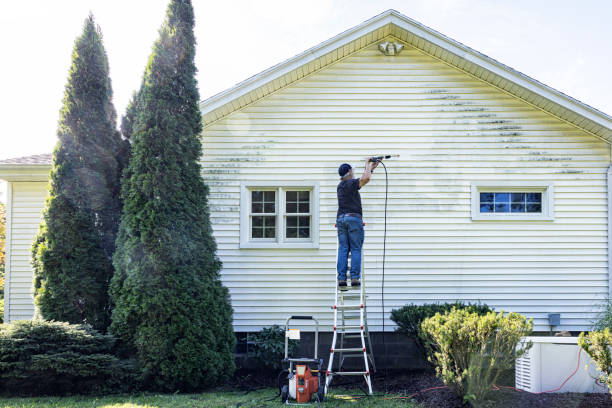 Best Building Exterior Washing  in Punta Rassa, FL